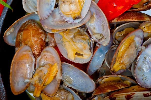 Fresh clams stewed on an iron skillet over wite rustic wood table