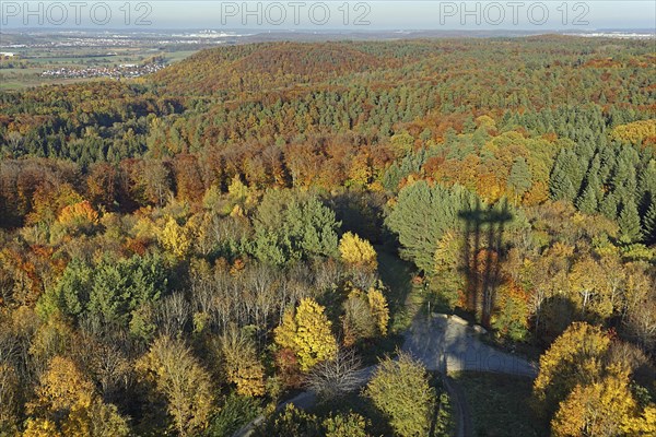 View of autumn forest from the Schönbuch Tower