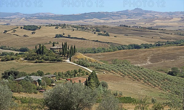 Podere Belvedere estate