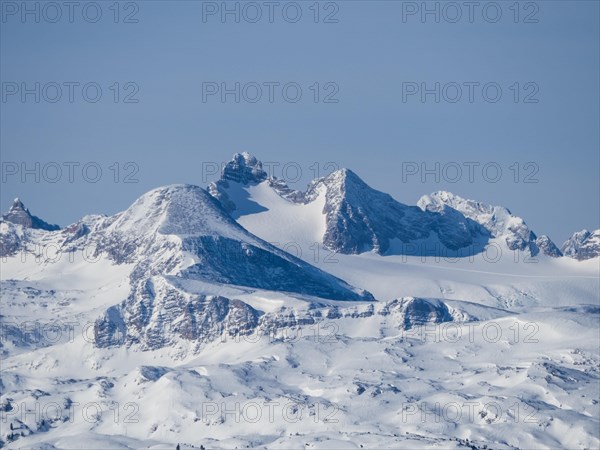 Winter landscape