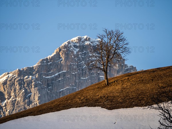 Blue sky over winter landscape