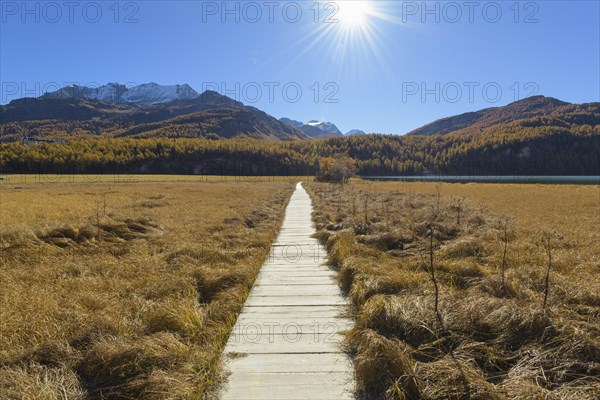 Boardwalk with sun on Lake Silsersee in autumn
