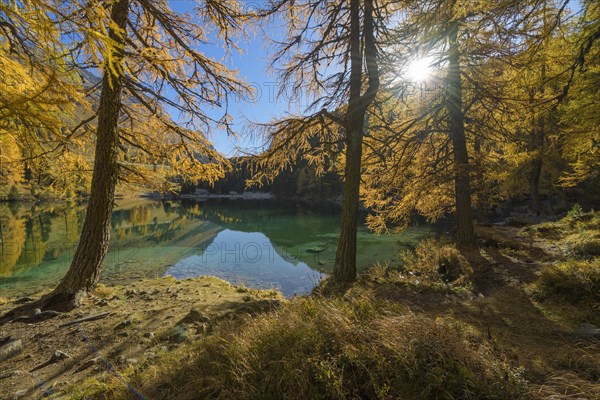 Mountain lake with larch trees in autumn