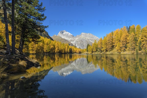 Mountain lake with larch trees in autumn