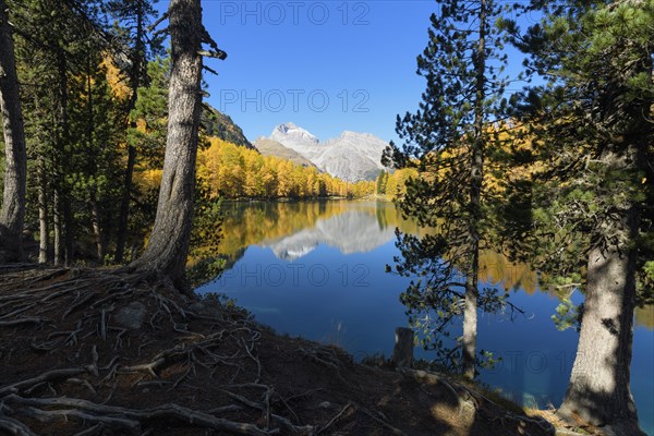 Mountain lake with larch trees in autumn