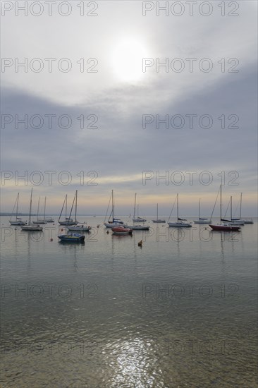 Harbor with fishing boats