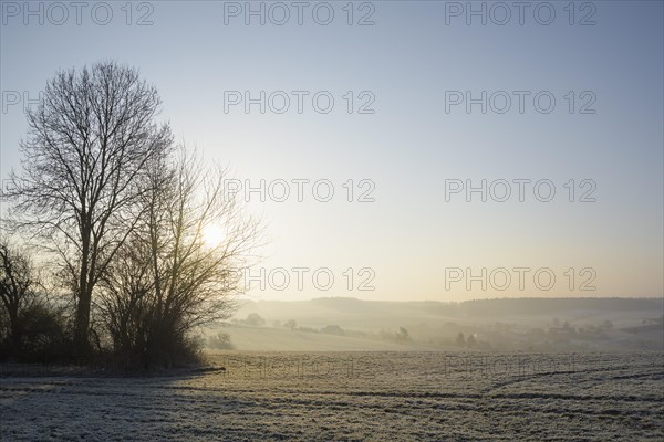 Field landscape at sunrise in winter