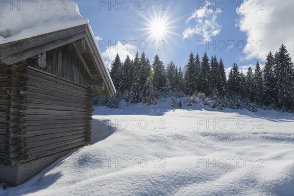 Winter landscape with wooden cabin