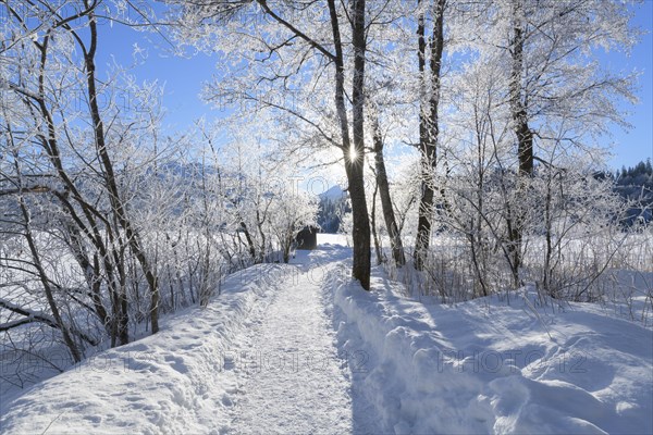 Path in winter landscape near lake Barmsee with sun