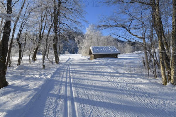 Cross country skiing track in winter landscape near lake Barmsee