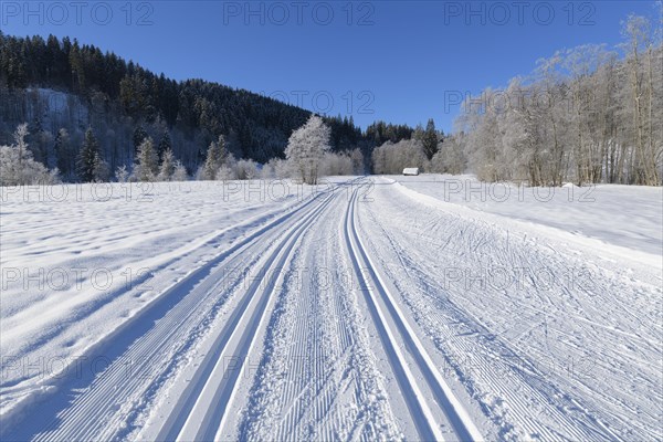 Cross country skiing track in winter landscape near lake Barmsee