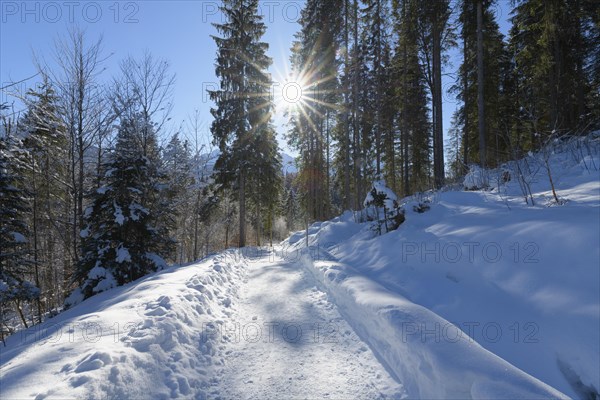 Path in winter landscape near lake Barmsee with sun