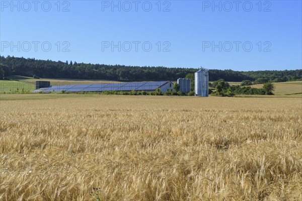 Modern animal barn with solar panels in field landscape, Grandenborn, Ringgau, Werra-Meissner district, Hesse, Germany, Europe