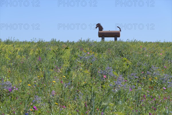 Trojan horse in landscape