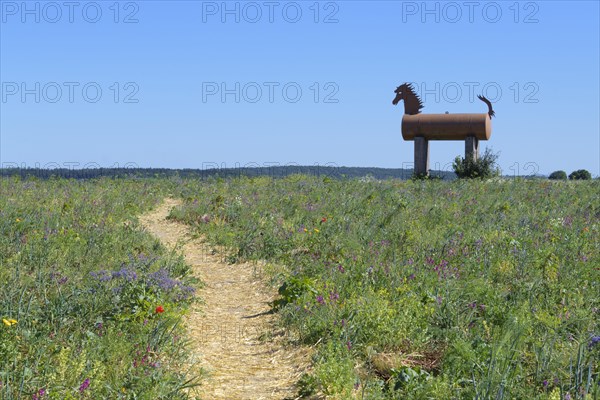 Path with Trojan horse in landscape