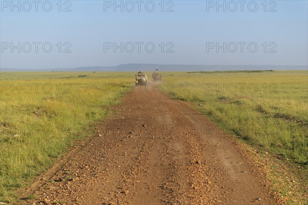 Road in savannah landscape with safari vehicle