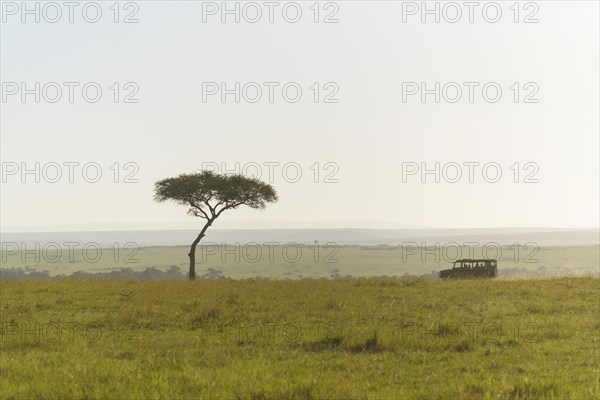 Savannah landscape with safari vehicle