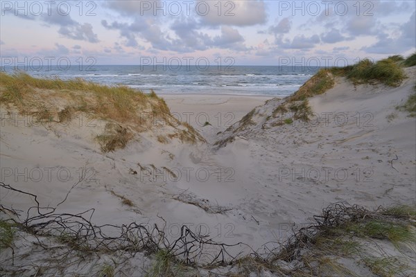 Dune landscape with the north sea in the morning