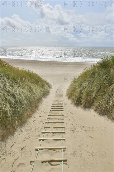 Dune landscape with sandy footpath to the sea in summer