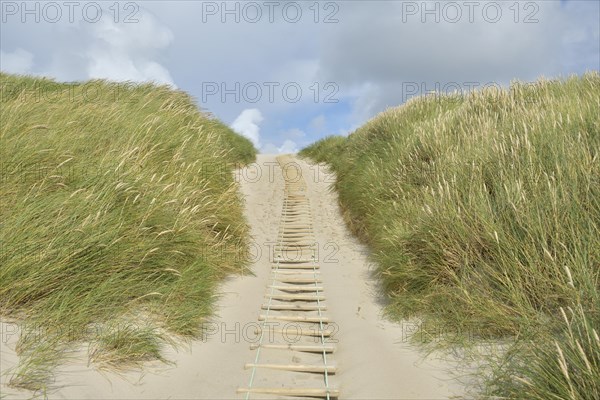 Dune landscape with sandy footpath to the sea in summer