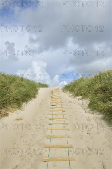 Dune landscape with sandy footpath to the sea in summer