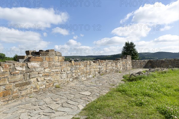 Castle ruins