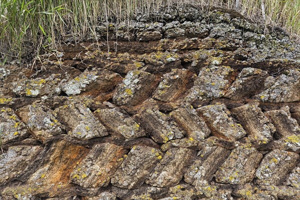 Wall of peat