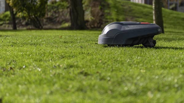 The robotic lawnmower mows the lawn