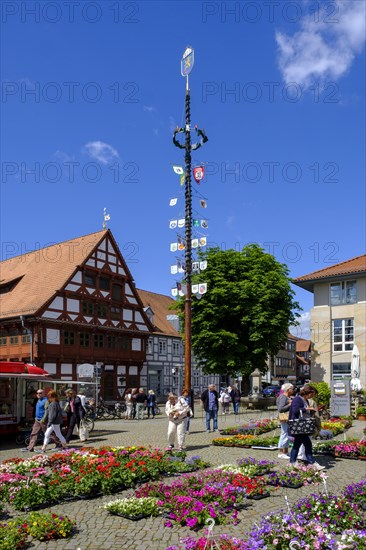 Grüner Markt