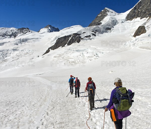 Mountain guide with alpinists on rope crossing the Jungfraufirn