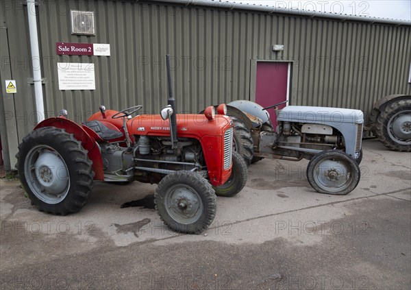 Vintage Massey-Ferguson tractors on display at an auction