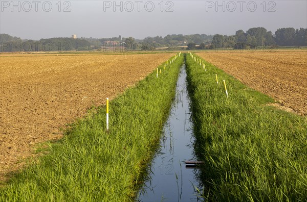 Drainage ditch draining farmland in former marshes
