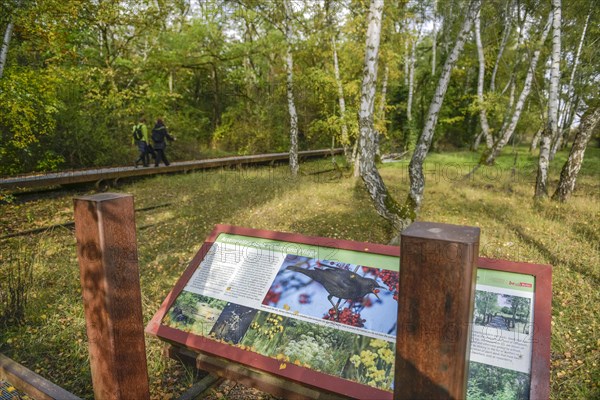 Display boards