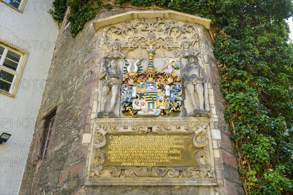 Ernestine coat of arms