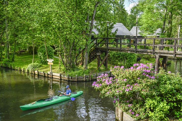 Paddle boat