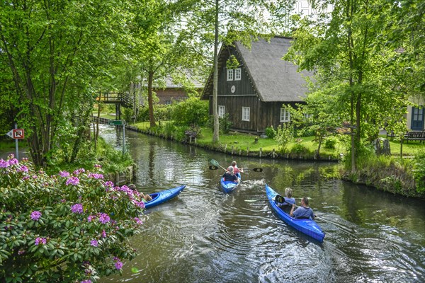 Paddle boats