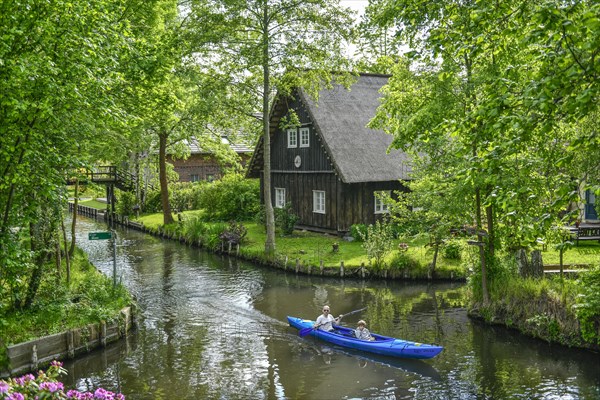 Paddle boat