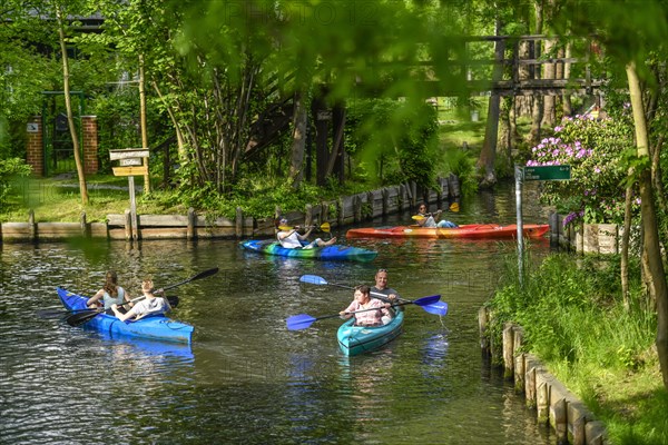 Paddle boats