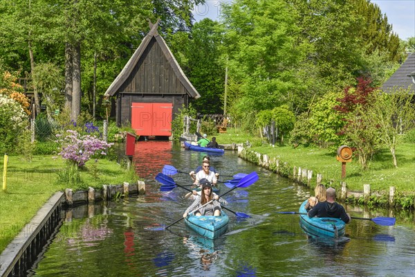 Paddle boats