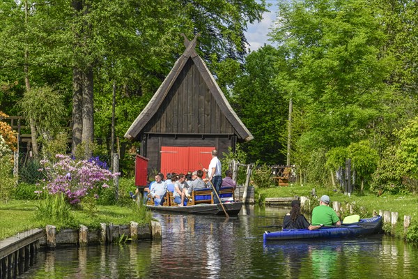 Paddle boat