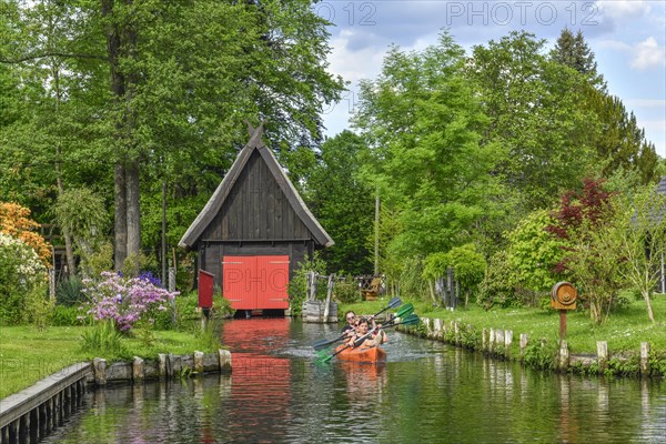 Paddle boat