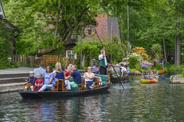 Paddle boat