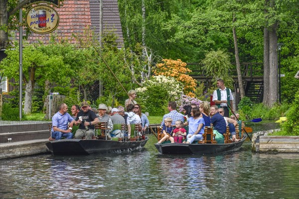 Boat trip