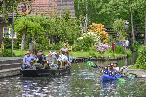 Paddle boat