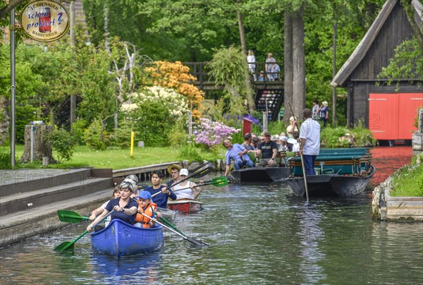 Paddle boats