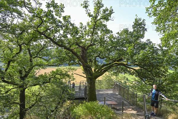 Weser-Skywalk