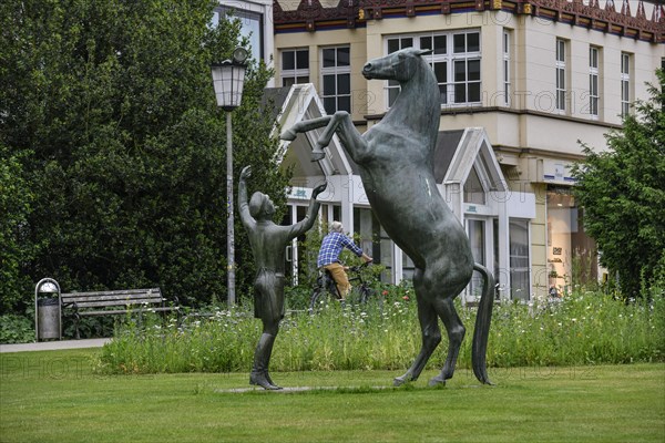 Bronze sculpture Stallion Wohlklang in Freiheitsdressur