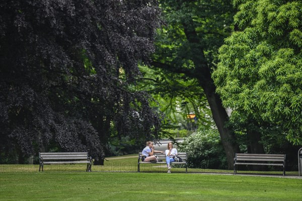 Palace gardens