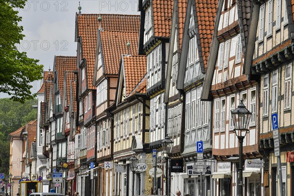 Half-timbered houses