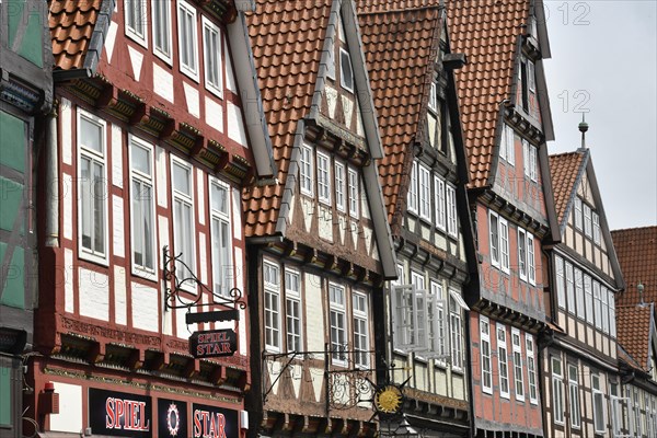 Half-timbered houses